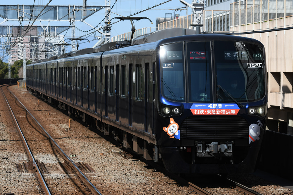 相鉄21000系21102×8<br class="br-sp" />(21102F)(21102編成)の写真