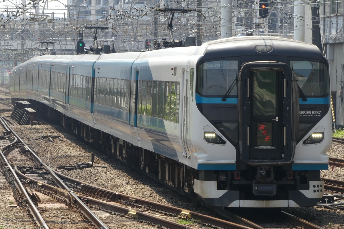 JR東日本 大宮総合車両センター東大宮センター E257系 オオNA-09編成