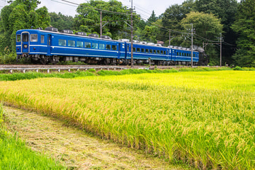 東武鉄道 下今市機関区 C11 123