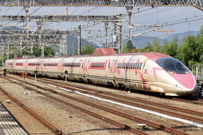 7b0c1bcc78044ebbffdb5156f56e3c