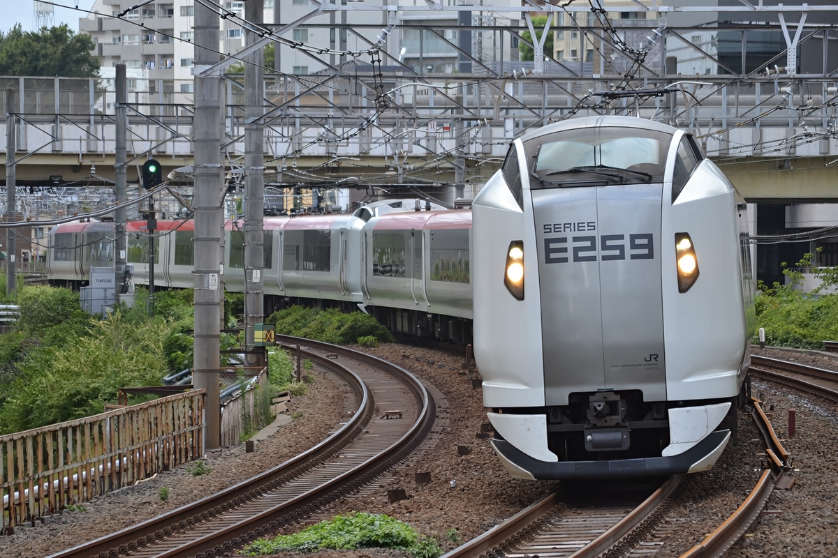 JR東日本 鎌倉車両センター本所 E259系 クラNe002編成