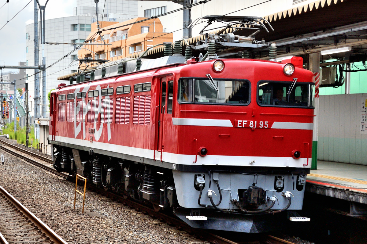 JR東日本 尾久車両センター EF81 95