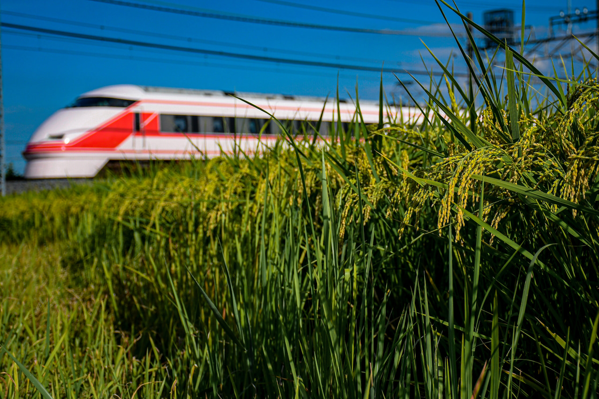 東武鉄道 南栗橋車両管区春日部支所 100系 109f