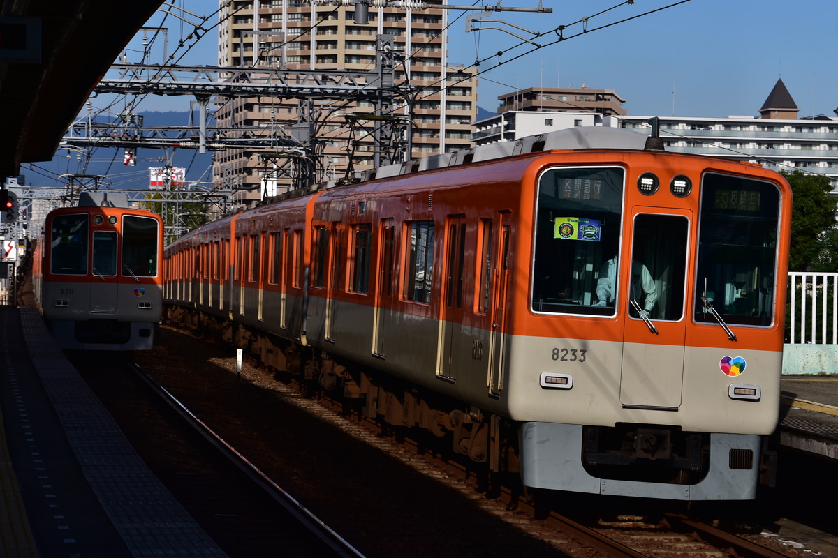 阪神電気鉄道 尼崎車庫 8000系 8233F