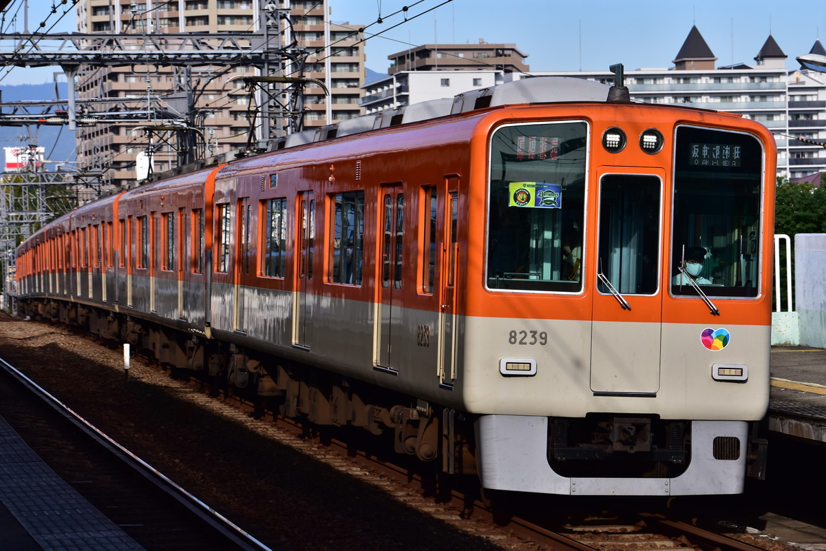 阪神電気鉄道 尼崎車庫 8000系 8239F