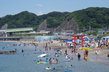 JR東日本 幕張車両センター本区 255系 マリBe-02編成