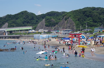 JR東日本 幕張車両センター本区 255系 マリBe-02編成