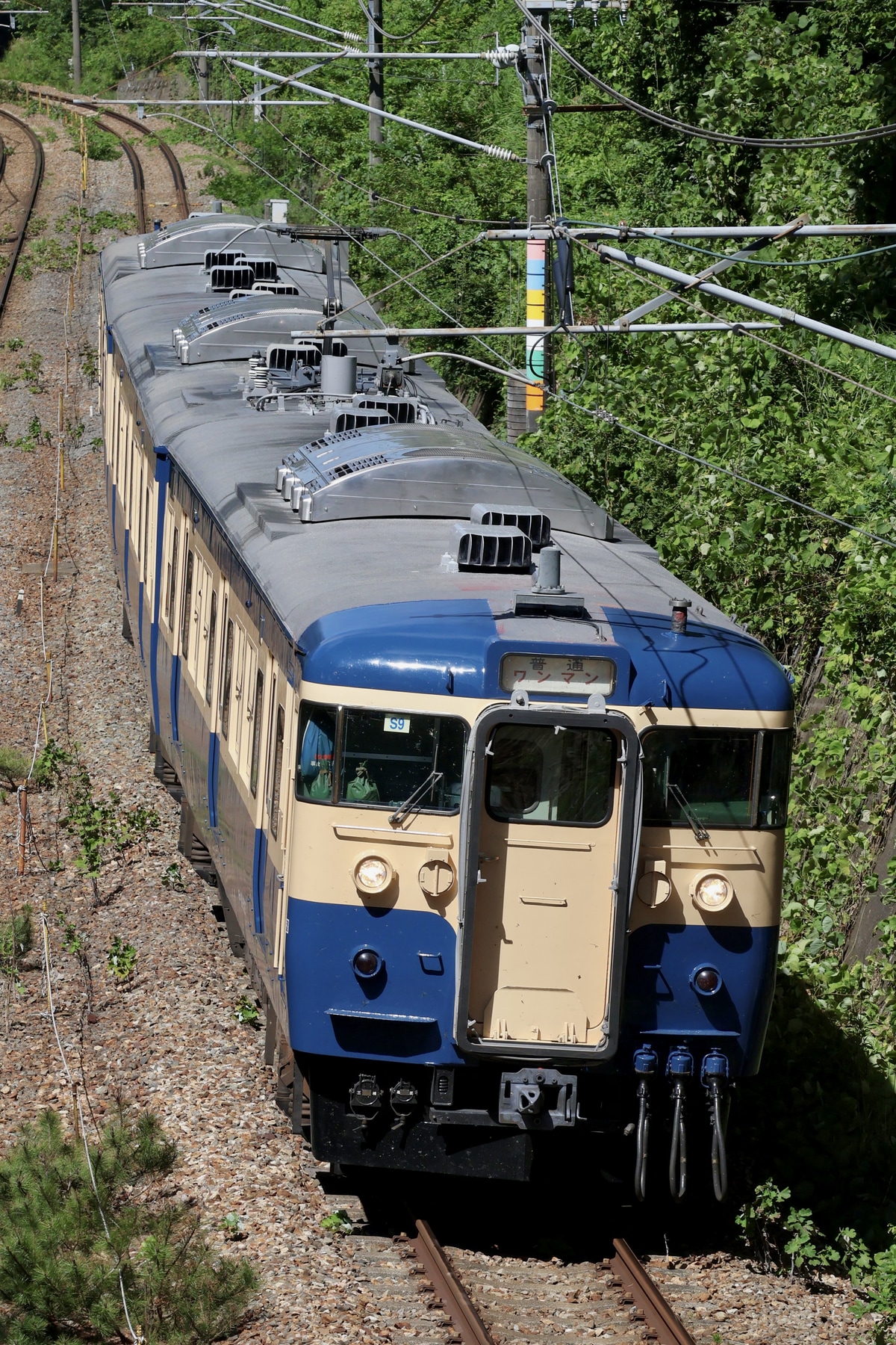 しなの鉄道  115系 S9編成