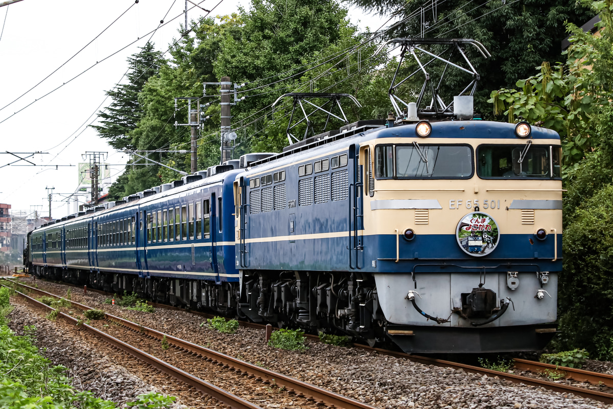 JR東日本 高崎機関区 EF65 501