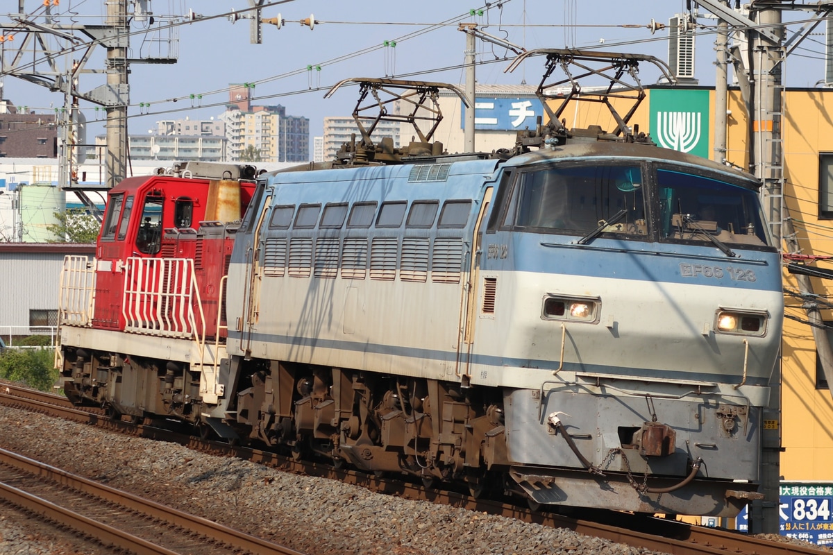 JR貨物 吹田機関区 EF66形 EF66-123