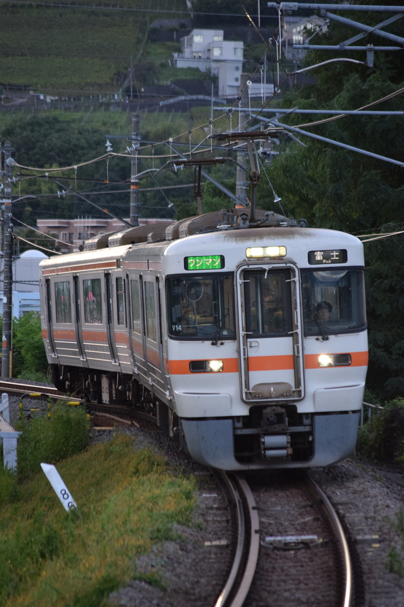 JR東海 静岡車両区 313系 シスV14編成