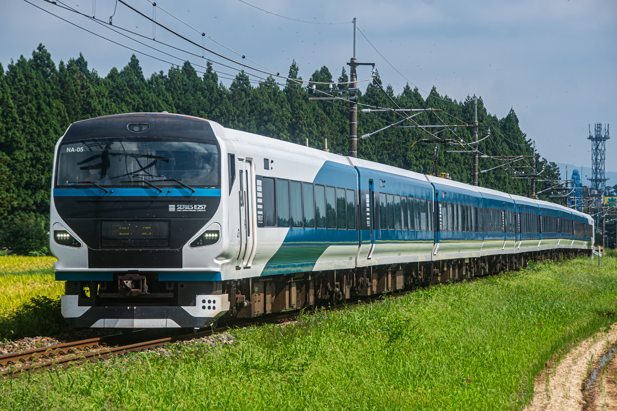 JR東日本 大宮総合車両センター東大宮センター E257系 オオNA-05編成