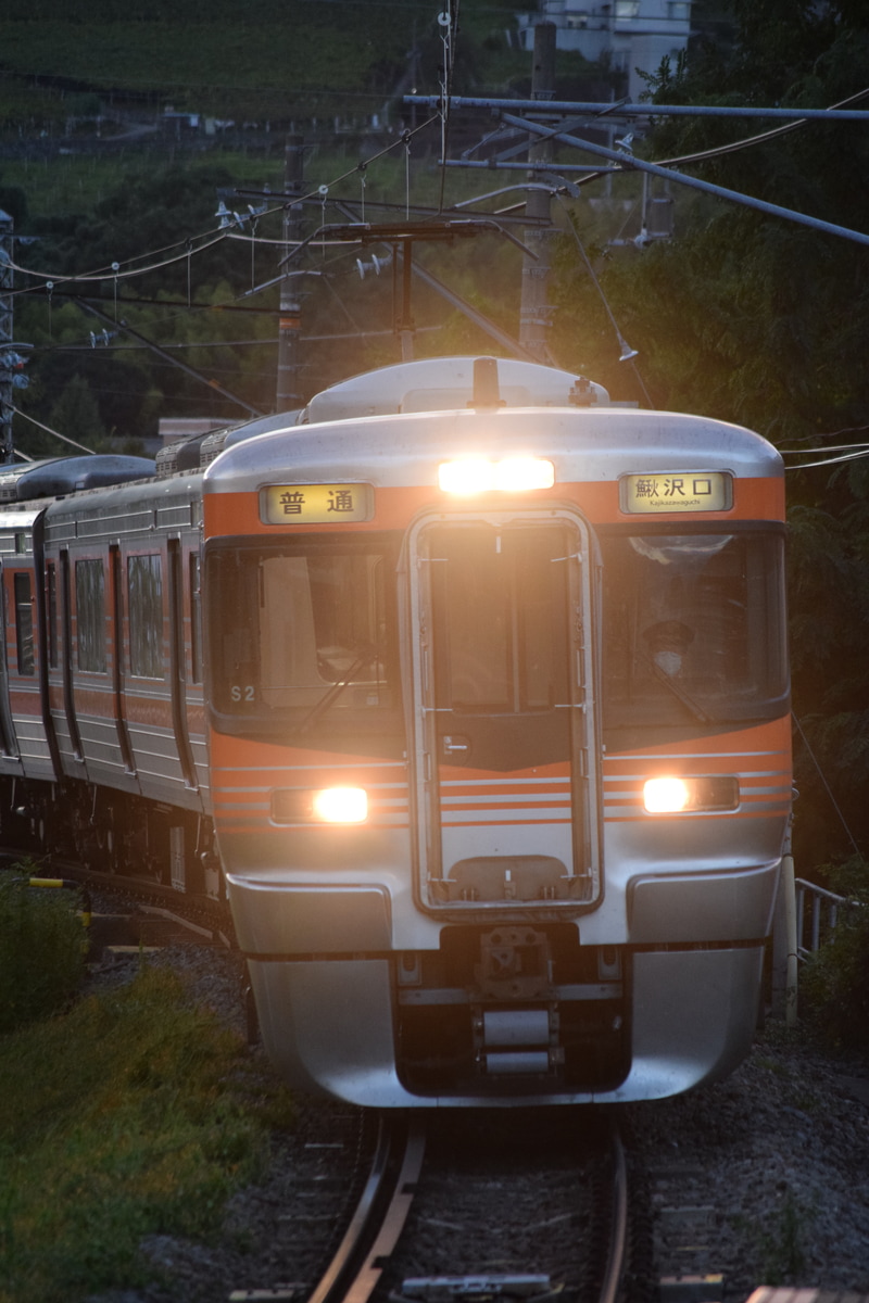 JR東海 静岡車両区 313系 シスS2編成