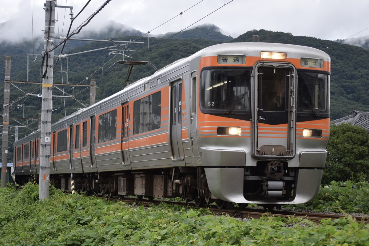 JR東海 静岡車両区 313系 シスS2編成