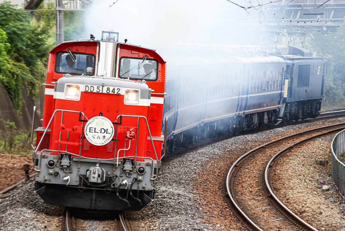 JR東日本 高崎機関区 DD51 842