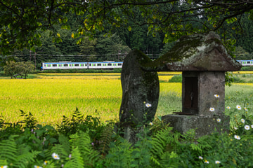 東武鉄道 南栗橋車両管区七光台支所 60000系 61610F