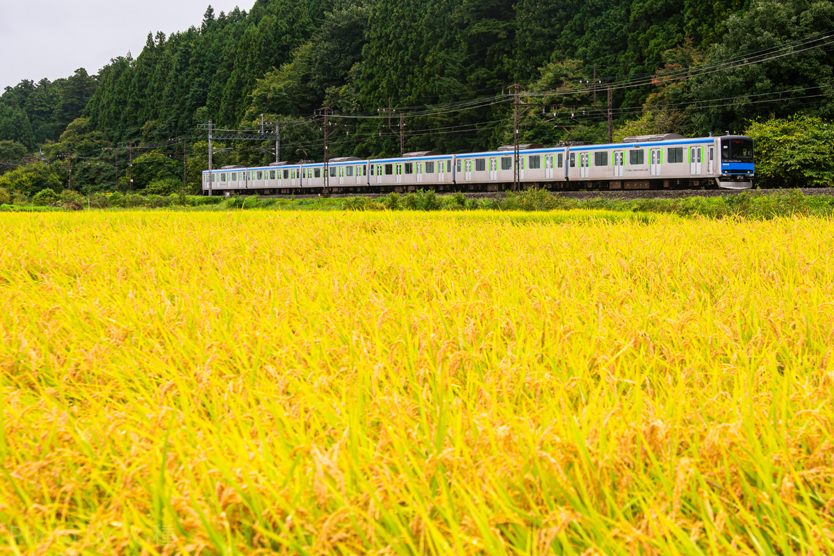 東武鉄道 南栗橋車両管区七光台支所 60000系 61610F