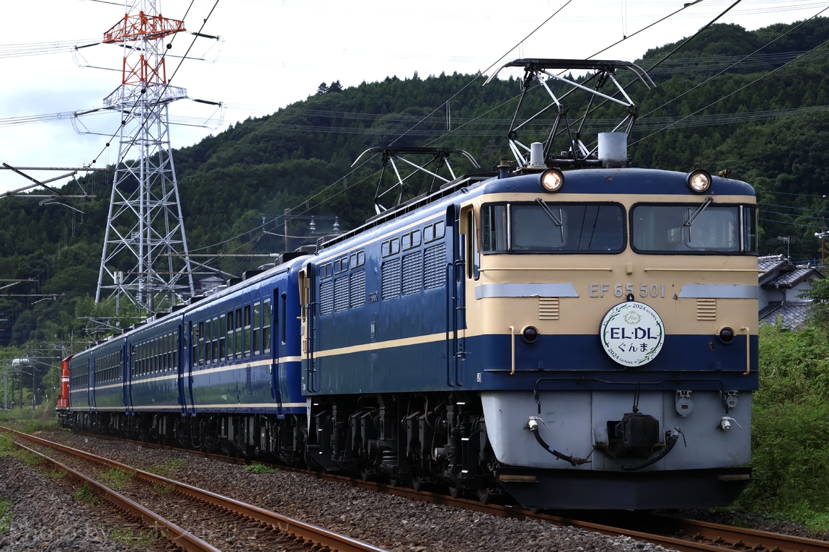 JR東日本 高崎機関区 EF65 EF65-501