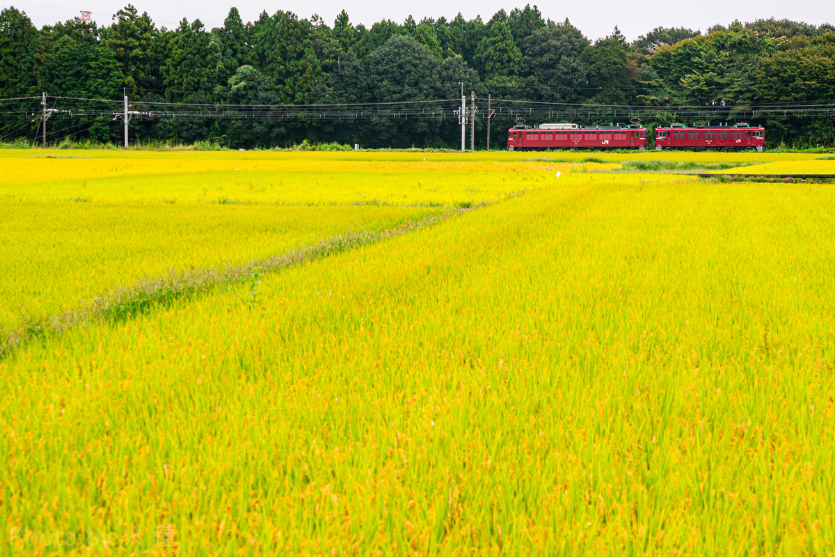 JR東日本 新潟車両センター EF81 134