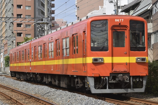 南栗橋車両管区春日部支所8000系8577Fを亀戸～亀戸水神間で撮影した写真