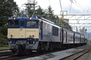 JR東日本 新潟車両センター EF64 1031