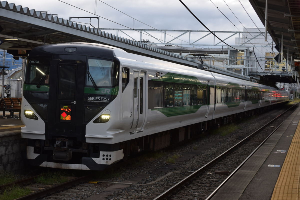 JR東日本 大宮総合車両センター東大宮センター E257系 オオOM-93編成