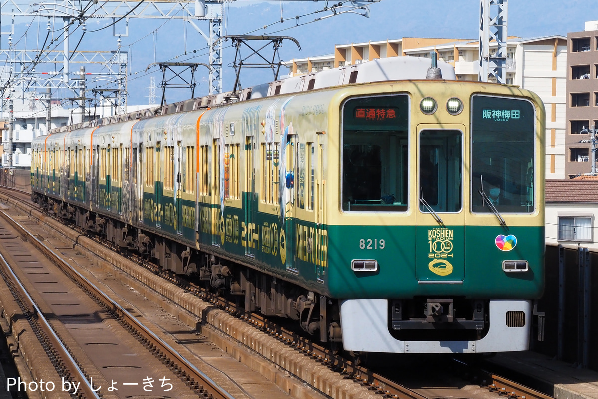 阪神電気鉄道 尼崎車庫 8000系 8219F