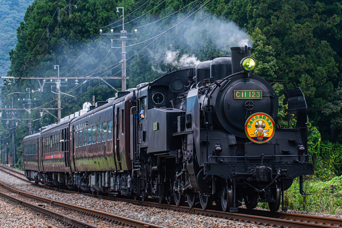 東武鉄道 下今市機関区 C11 123