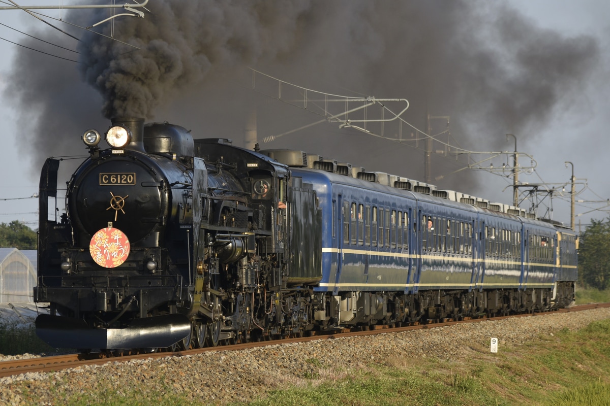 JR東日本 ぐんま車両センター C61形 C61-20