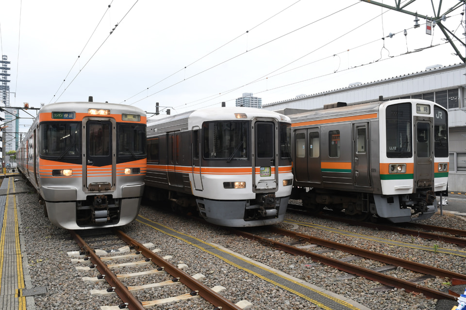 JR海313系シスS1編成<br class="br-sp" />(S1編成)の写真