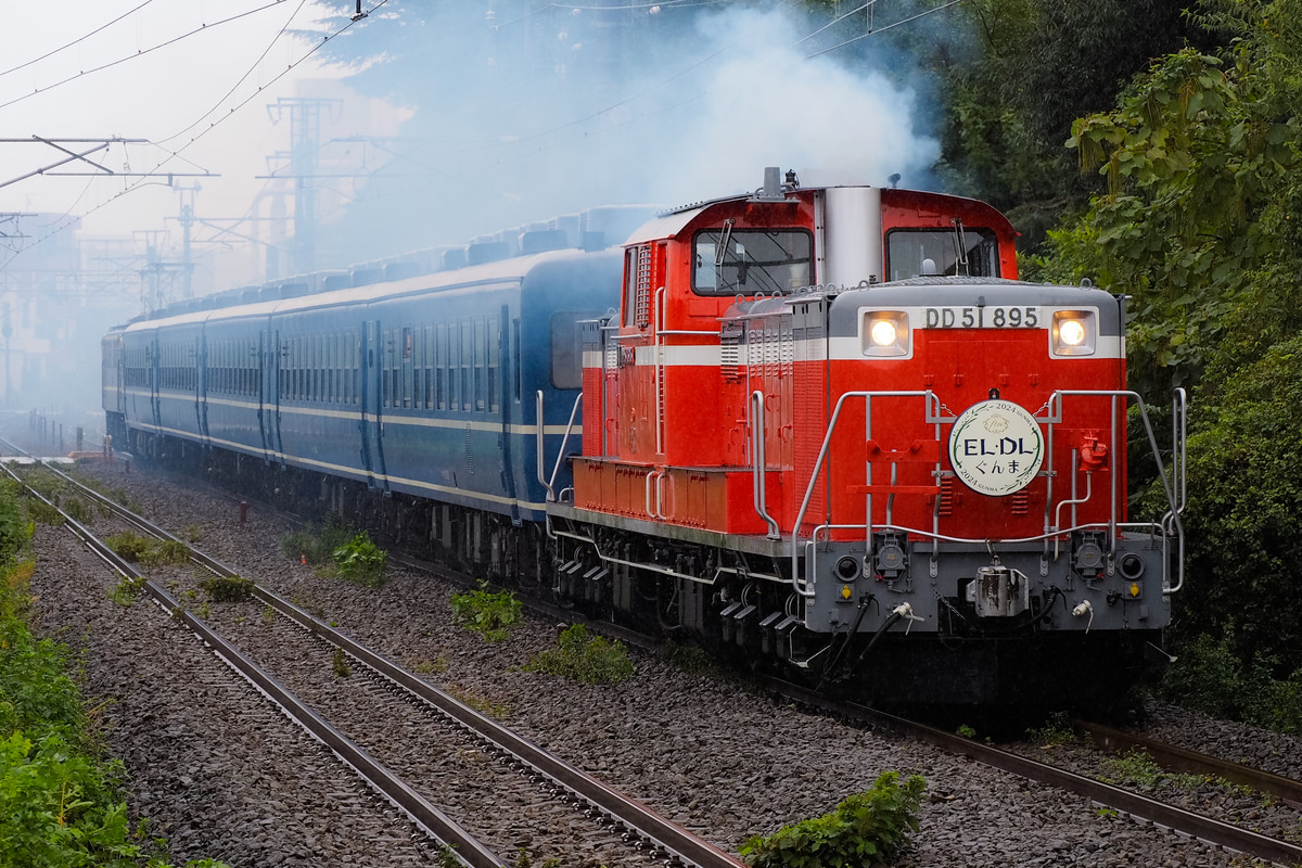 JR東日本  DD51 895