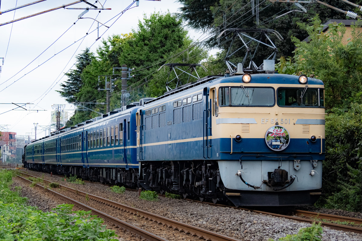 JR東日本  EF65 501