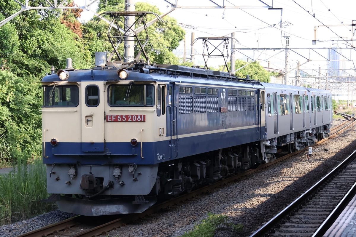 JR貨物 新鶴見機関区 EF65 2081