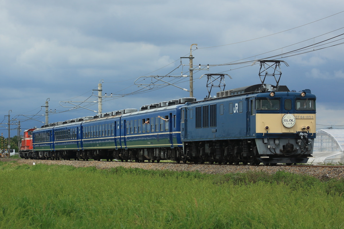 JR東日本 高崎車両センター高崎支所 EF64 1053