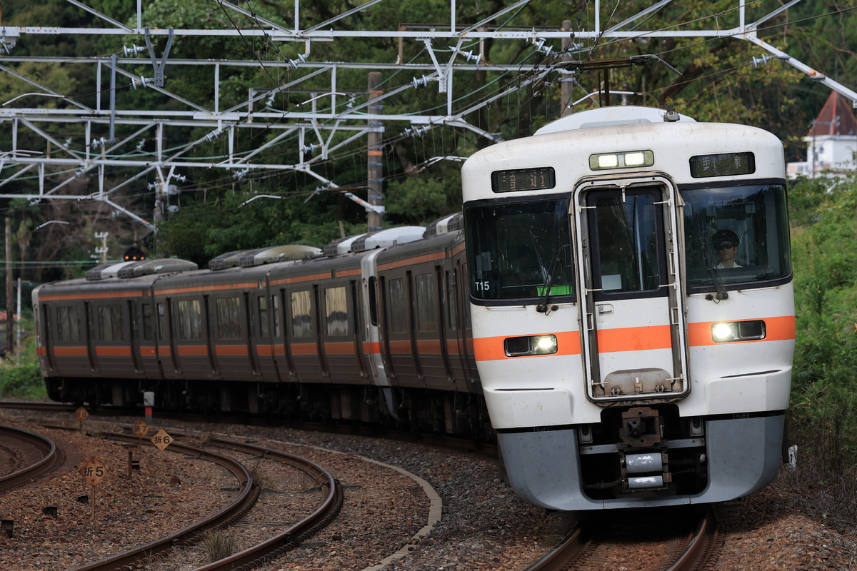 JR東海 静岡車両区 313系 シスT15編成