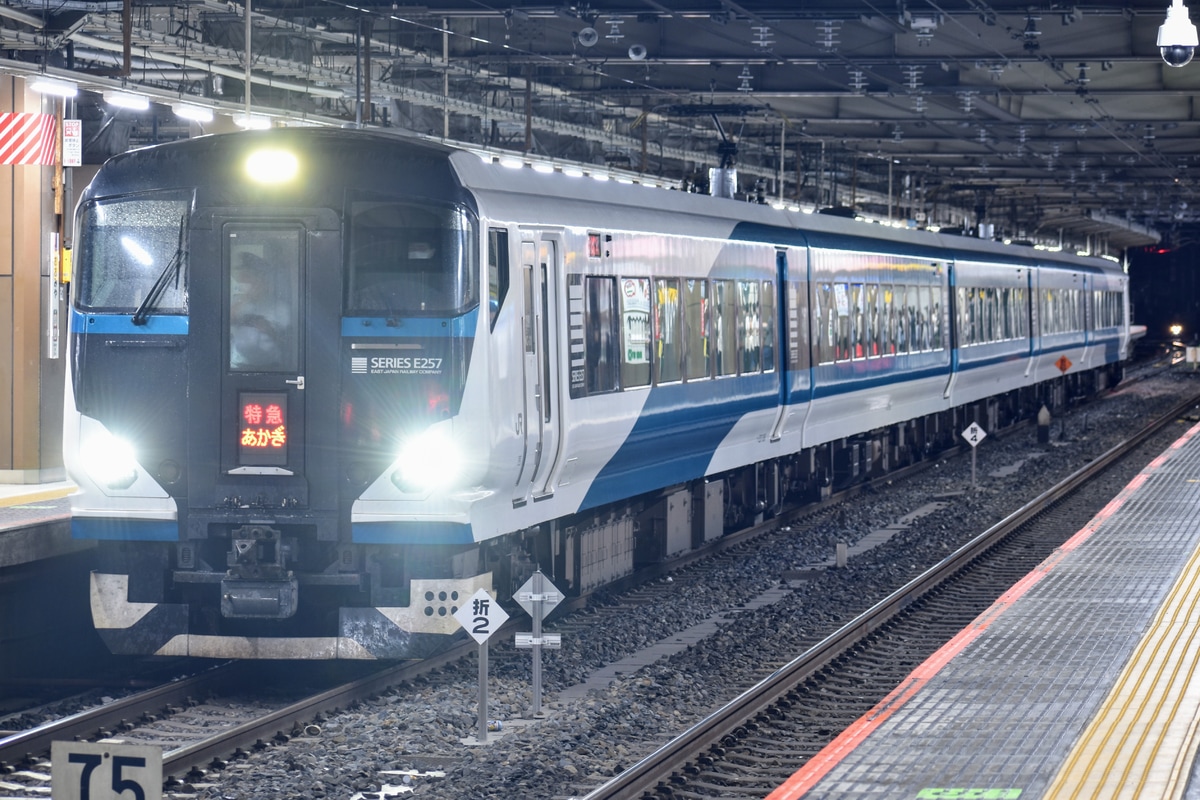 JR東日本 大宮総合車両センター東大宮センター E257系 オオNC-31編成