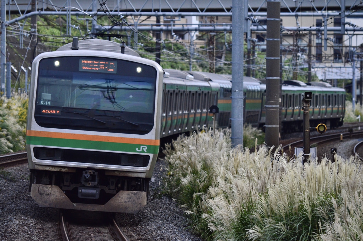 JR東日本 国府津車両センター E231系 コツK-14編成