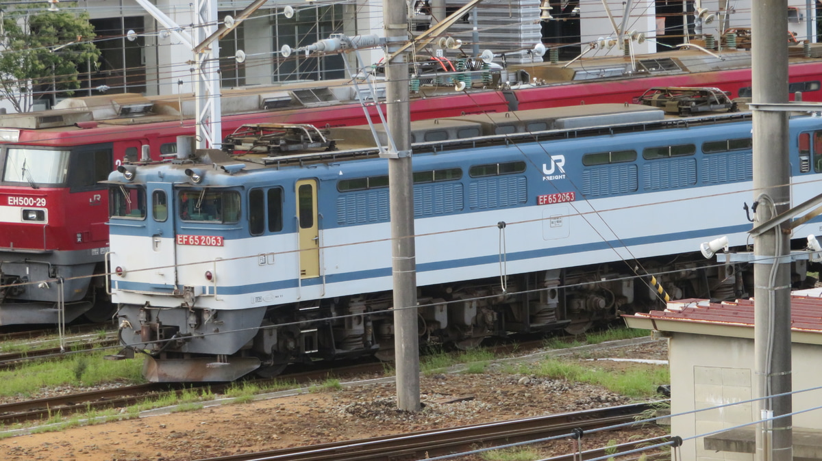 JR貨物 新鶴見機関区 EF65 2063