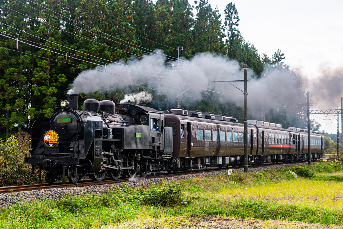 東武鉄道 下今市機関区 C11 123