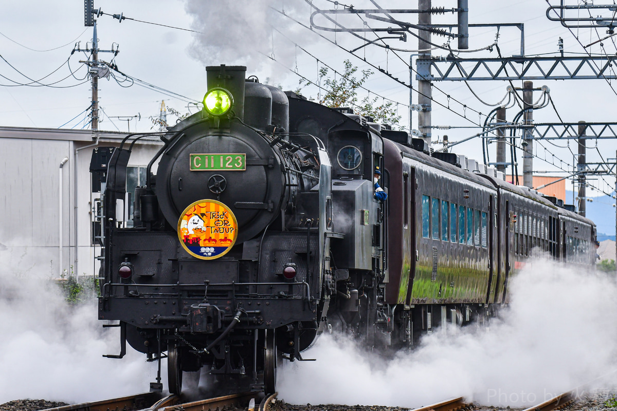 東武鉄道 下今市機関区 C11 123