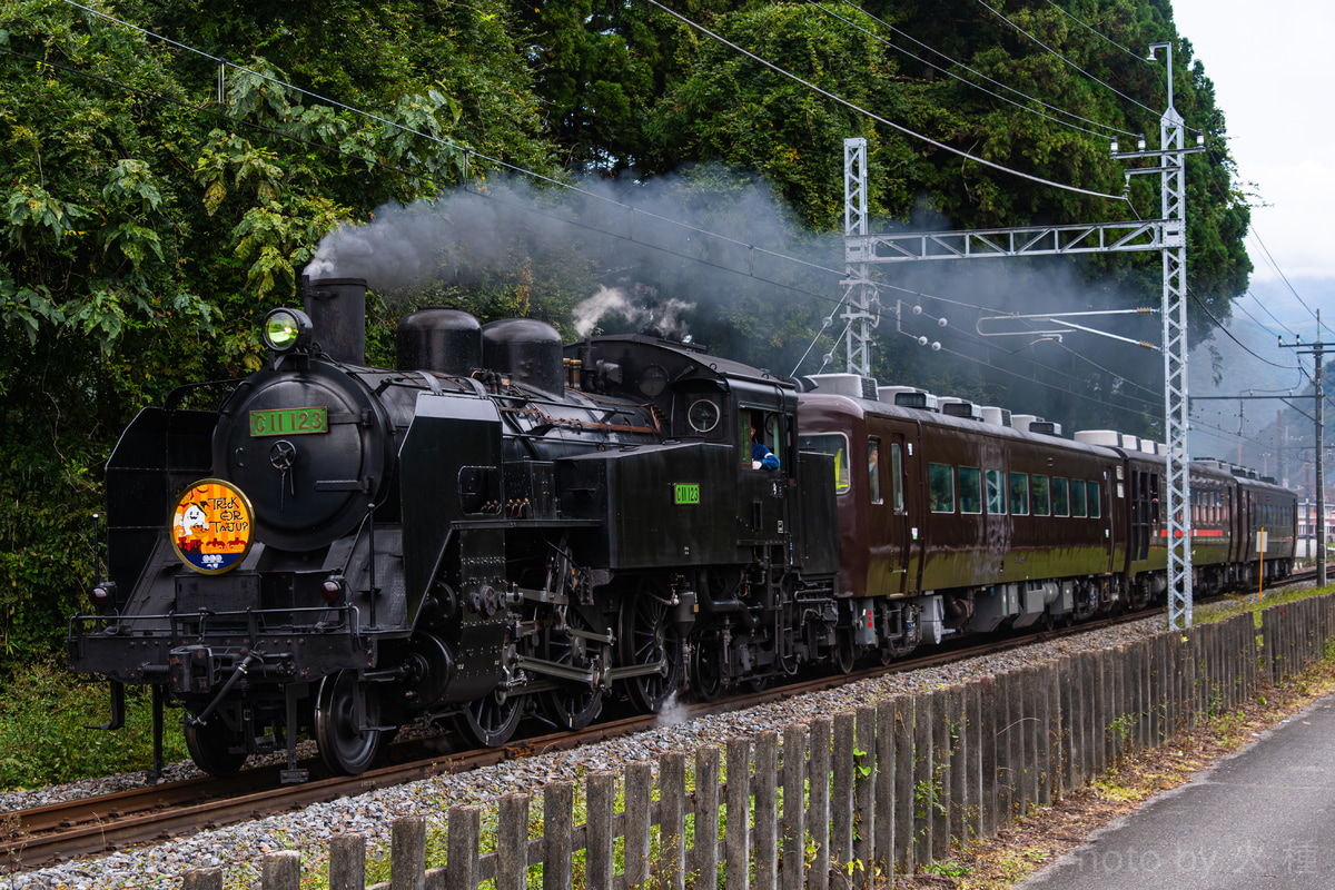 東武鉄道 下今市機関区 C11 123