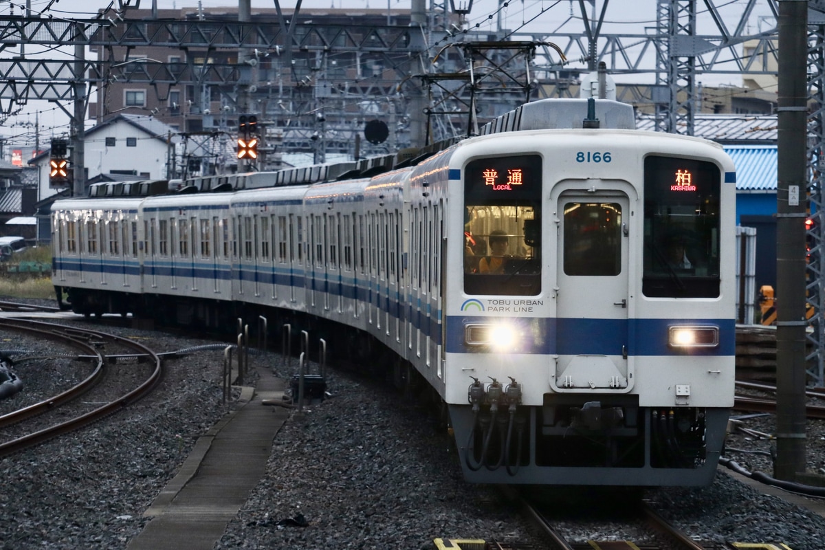 8000系 8166F の写真 |鉄道写真投稿サイトTrain-Directory