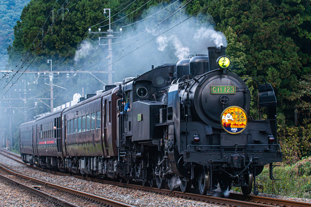 東武鉄道 下今市機関区 C11 123