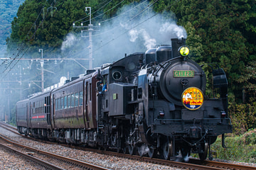 東武鉄道 下今市機関区 C11 123