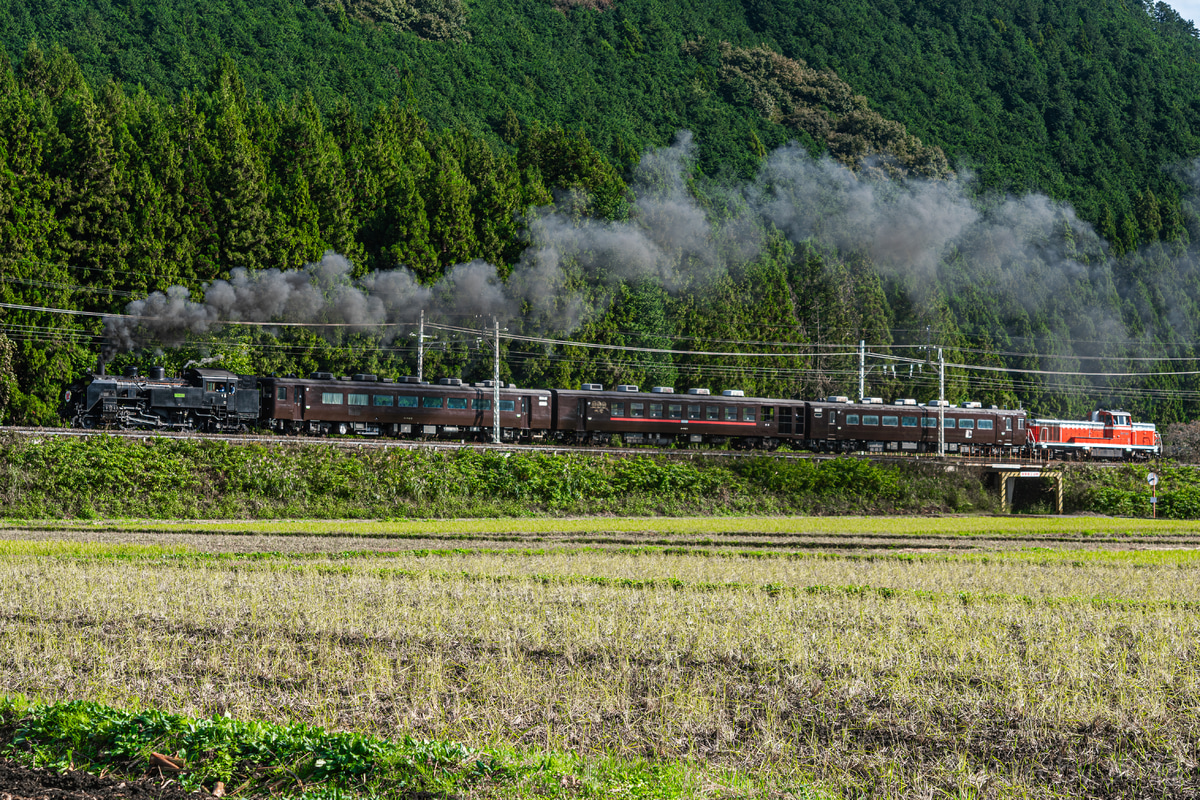 東武鉄道 下今市機関区 C11 123