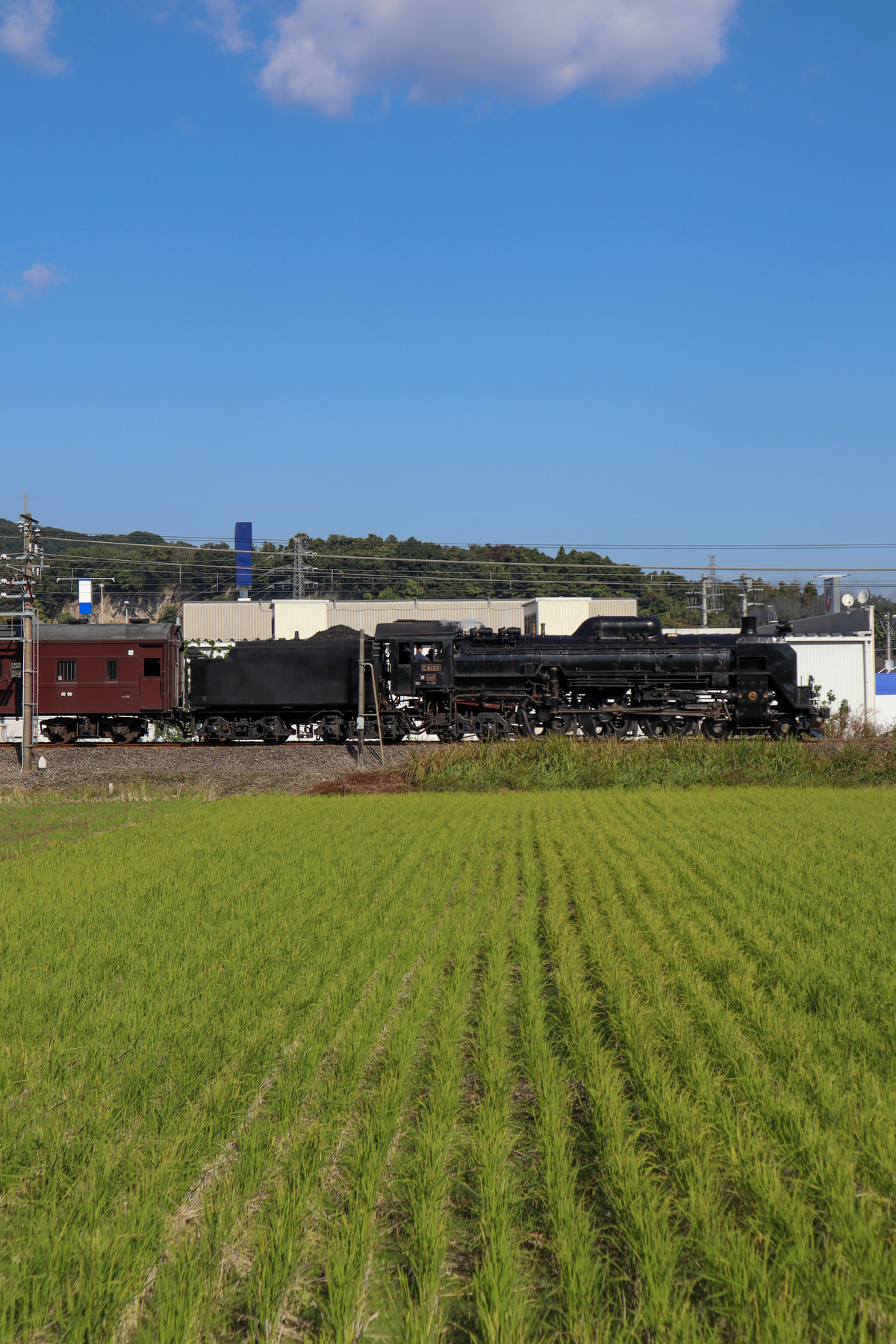 JR東日本  C61 20