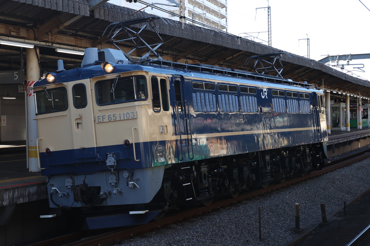 JR東日本 田端運転所 EF65 1103