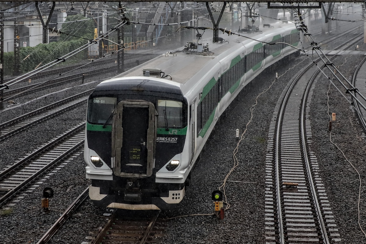 JR東日本 大宮総合車両センター東大宮センター E257系 オオOM51編成