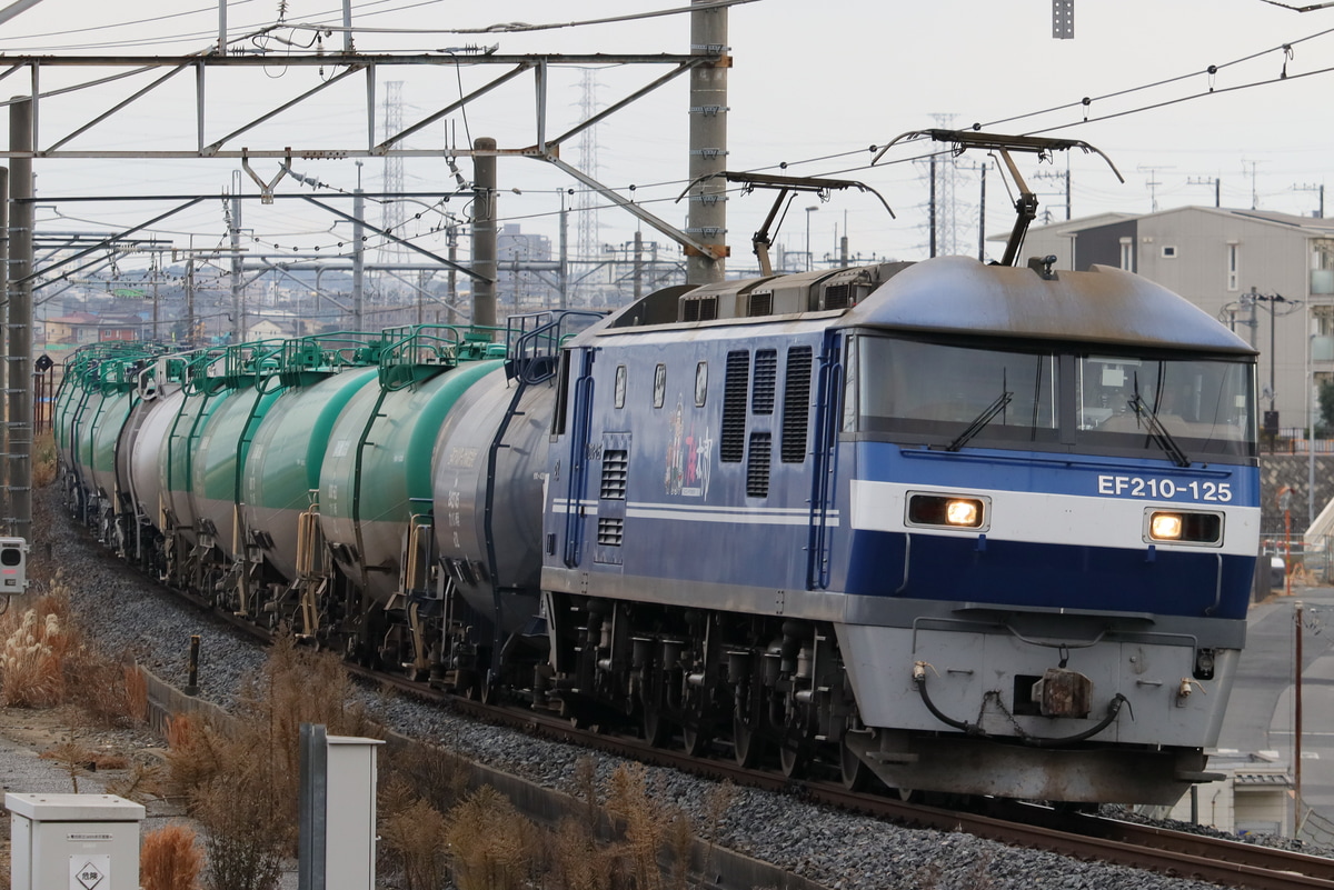 JR貨物 新鶴見機関区 EF210 125