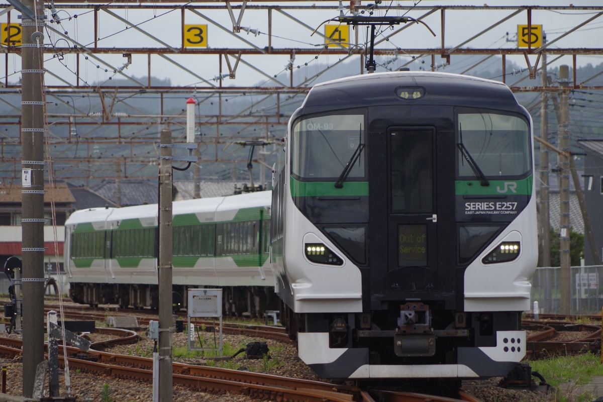 JR東日本 大宮総合車両センター東大宮センター E257系 オオOM-93編成